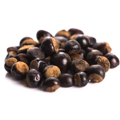 Organic Guarana Seed PE 10% Caffeine