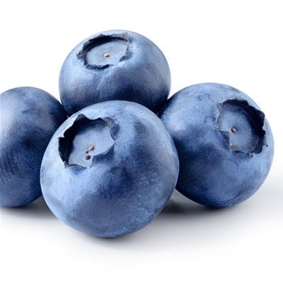 Organic Bilberry Fruit PE 4/1 CWS