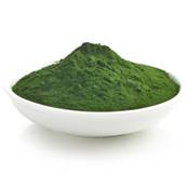 Chlorella Powder