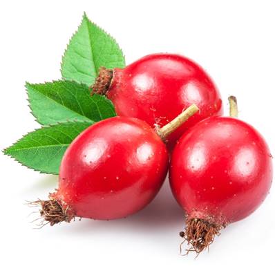 Organic Rose Hip Fruit PE 5/1