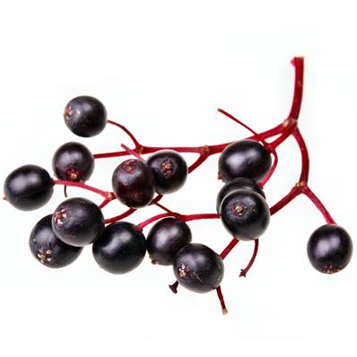 Elderberry Whole