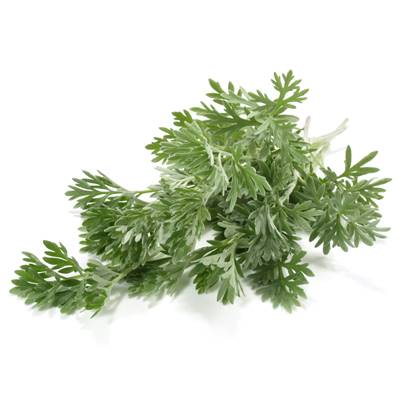 Wormwood Herb Coarse Cut 0.5-3cm