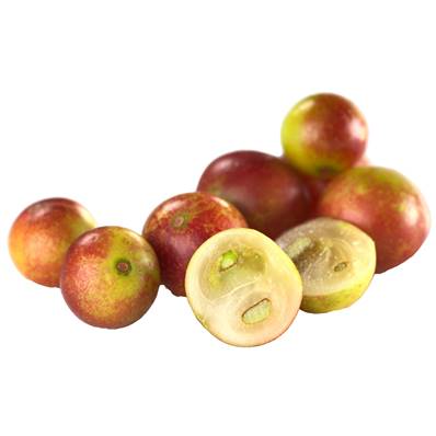 Organic Camu Camu Fruit Powder