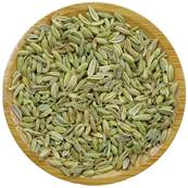 Organic Sweet Fennel Fruit Whole