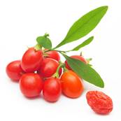 Goji Fruit PE 4/1