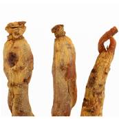 Red Ginseng Root PE 20% Ginsenosides (UV)