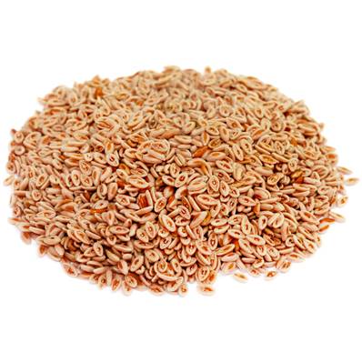 Ispaghul Husk Powder 300µm Heat Treated