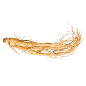 Organic White Ginseng Root PE 4/1