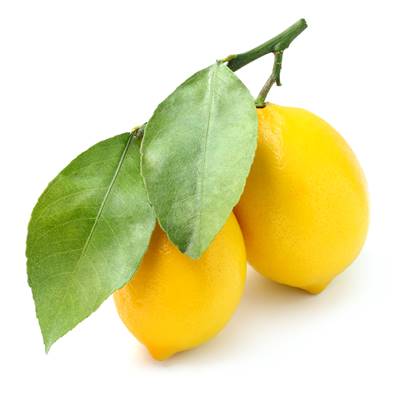 Lemon Leaf PE TGE