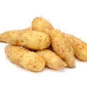 Yam Root PE 16% Diosgenin