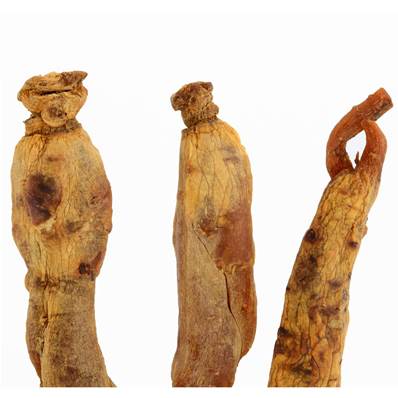 Red Ginseng Mixed Tail Whole