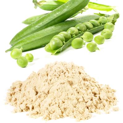 Pea Protein Powder