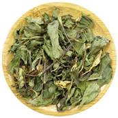 Peppermint Leaf Loose Tea Cut 4-10mm