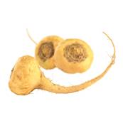 Organic Maca Tuber PE 4-6/1