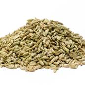 Organic Sweet Fennel Fruit Whole