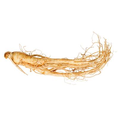 Organic White Ginseng Root Powder 300µm Heat Treated 0.4% Ginsenoside