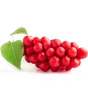 Schisandra Berry PE