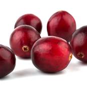 Cranberry Fruit PE 1% Pacs