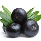 Organic Acai Fruit PE 1/1