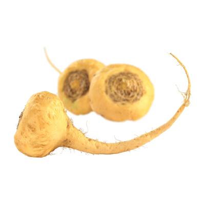 Organic Maca Tuber PE 4-6/1