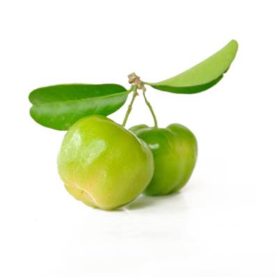 Organic Acerola Fruit PE 17% Vitamin C 