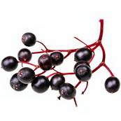 Elderberry Whole