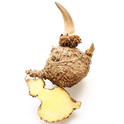 Organic Konjac Glucomannan Rhizome Powder 420µm