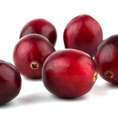 Cranberry Fruit PE 1% Pacs