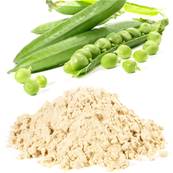 Pea Protein Powder