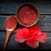 Organic Hibiscus Flower Powder 120-300µm Sifted