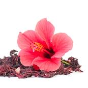 Organic Hibiscus Flower Powder 300µm