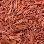 Red Sandalwood Extraction Cut 1cm