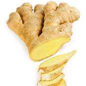 Ginger Rhizome Extraction Cut 1cm