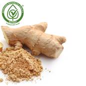 Ginger Rhizome PE 4/1 B+