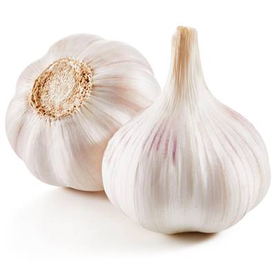 Garlic Bulb Powder Odorless