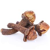 Organic Clove Stem Whole