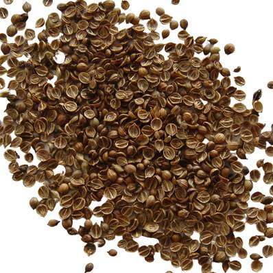 Coriander Seed Crushed 2-7mm