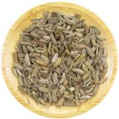 Organic Sweet Fennel Fruit Whole (French)