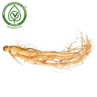 Ginseng Root PE 4/1 B+