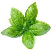Organic Basil Leaf Powder 300µm Heat Treated