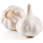 Garlic Bulb Powder Odorless