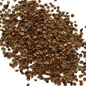 Coriander Seed Crushed 2-7mm