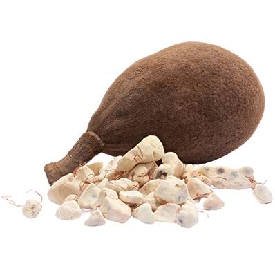 Organic Prebiotic Baobab Pulp Powder