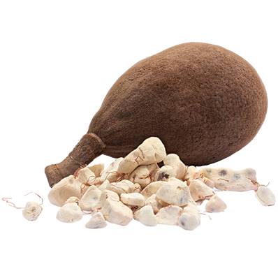 Bio Prébiotique Baobab Pulpe Poudre