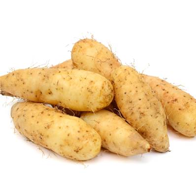 Yam Root PE 16% Diosgenin