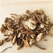 Garden Angelica Root Extraction Cut 1-3cm -RPR