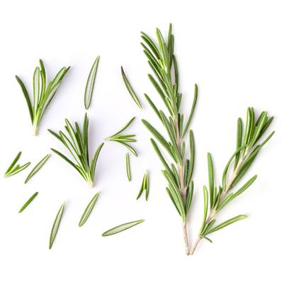 Rosemary Leaf Whole