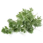 Wormwood Herb Coarse Cut 0.5-3cm