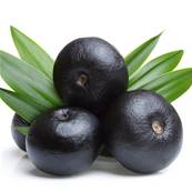 Organic Acai Fruit Freeze-dried Powder