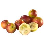 Organic Camu Camu Fruit Powder